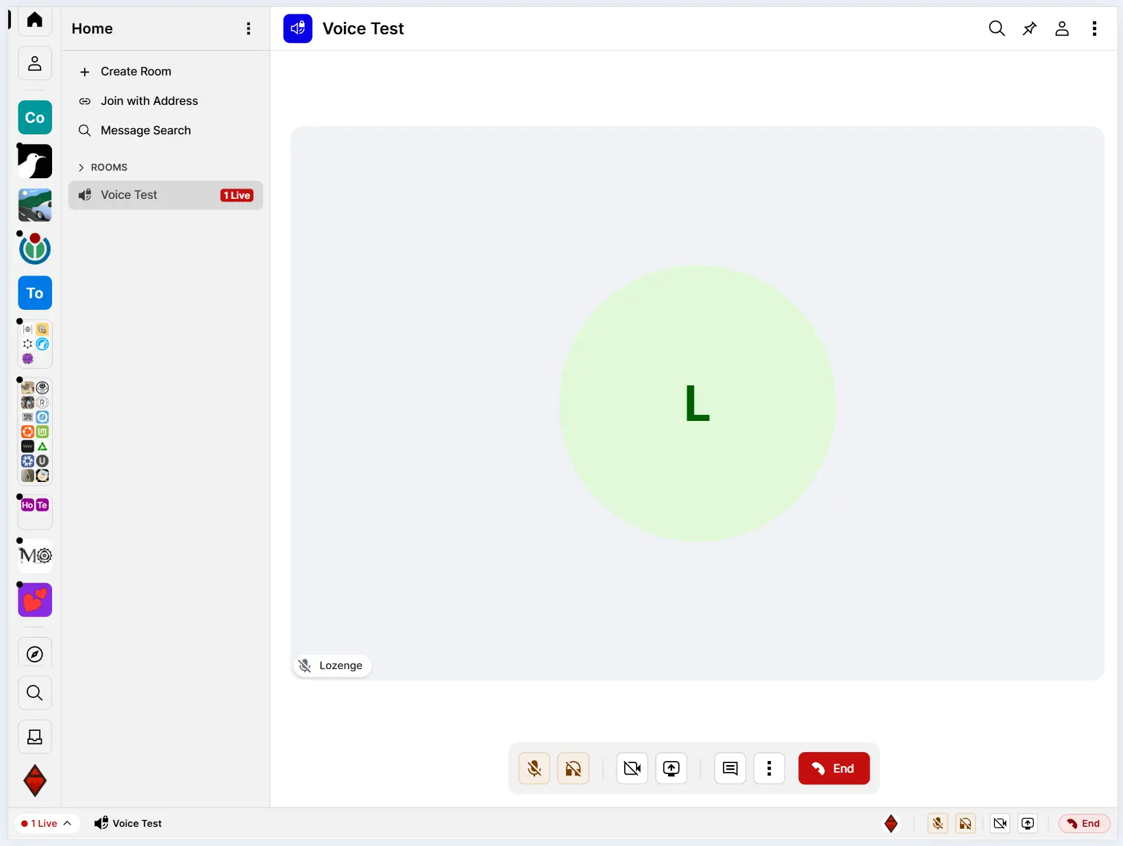 A screenshot of Cinny displaying a video room, where a video call is in full screen.